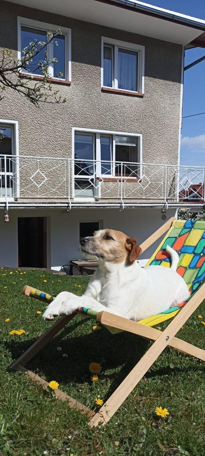Willa Ada & Apartments Karpacz Zewnętrze zdjęcie